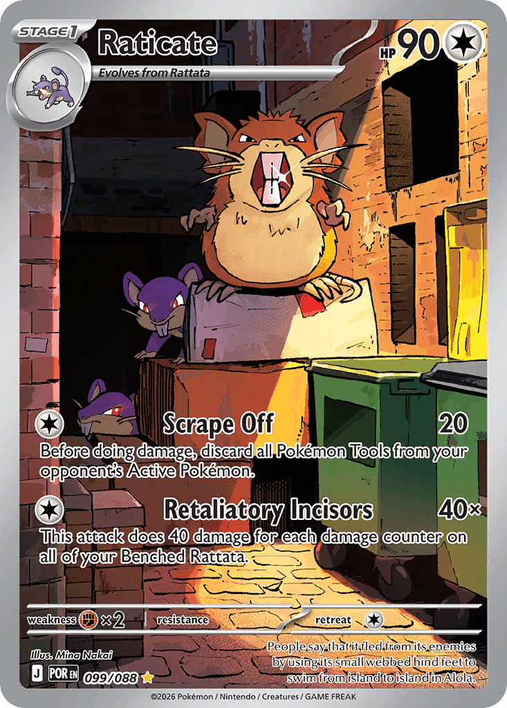 Raticate 1